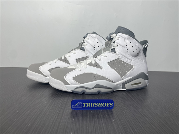 Jordan 6  Cool Grey CT8529-100