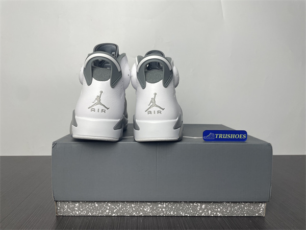 Jordan 6  Cool Grey CT8529-100
