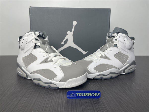 Jordan 6  Cool Grey CT8529-100