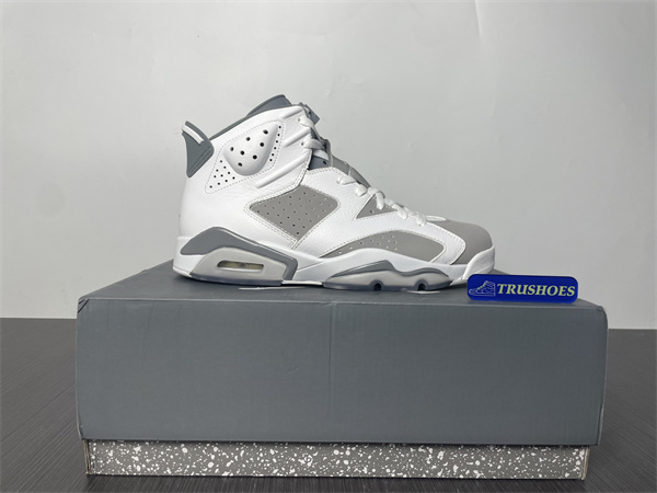 Jordan 6  Cool Grey CT8529-100