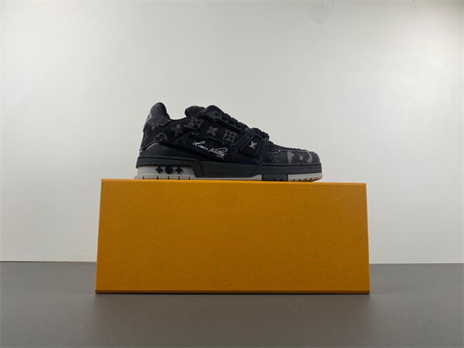 l**is V*t*n lv trainer  28488