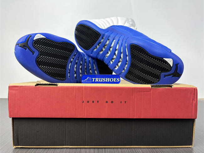 Air Jordan 12  CT8013-116-