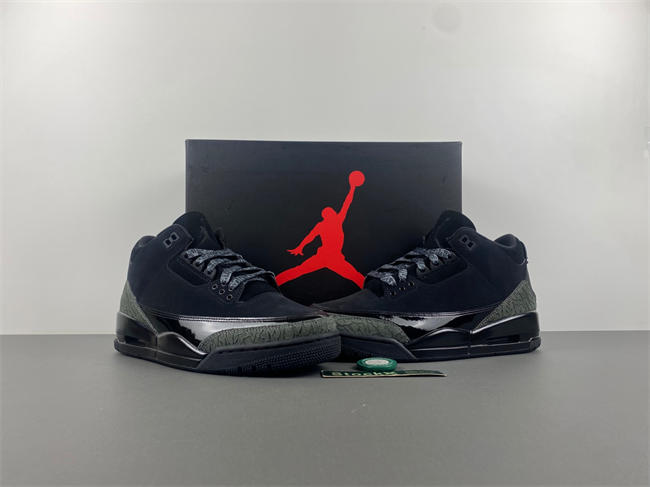 Air Jordan 3 CK9246-168